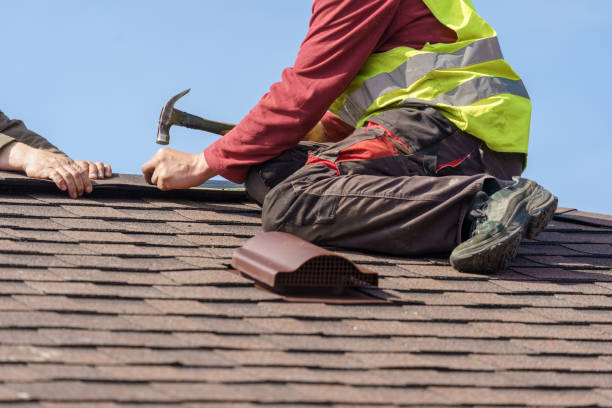 Best Sealant for Roof  in Campbell, OH