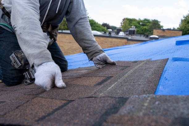 Best Roof Gutter Cleaning  in Campbell, OH