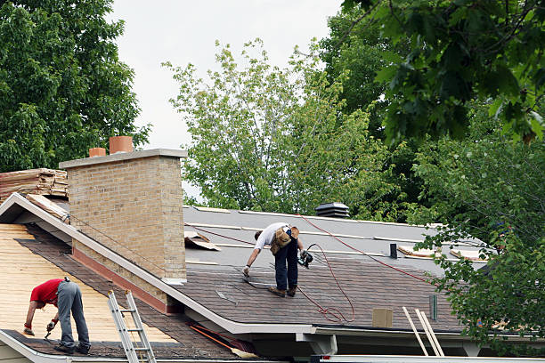 Professional Roofing Contractor in Campbell, OH