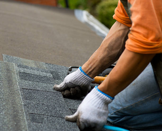 Best Roof Inspection Near Me  in Campbell, OH