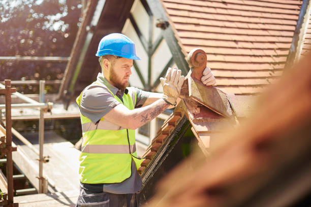 Roof Gutter Cleaning in Campbell, OH